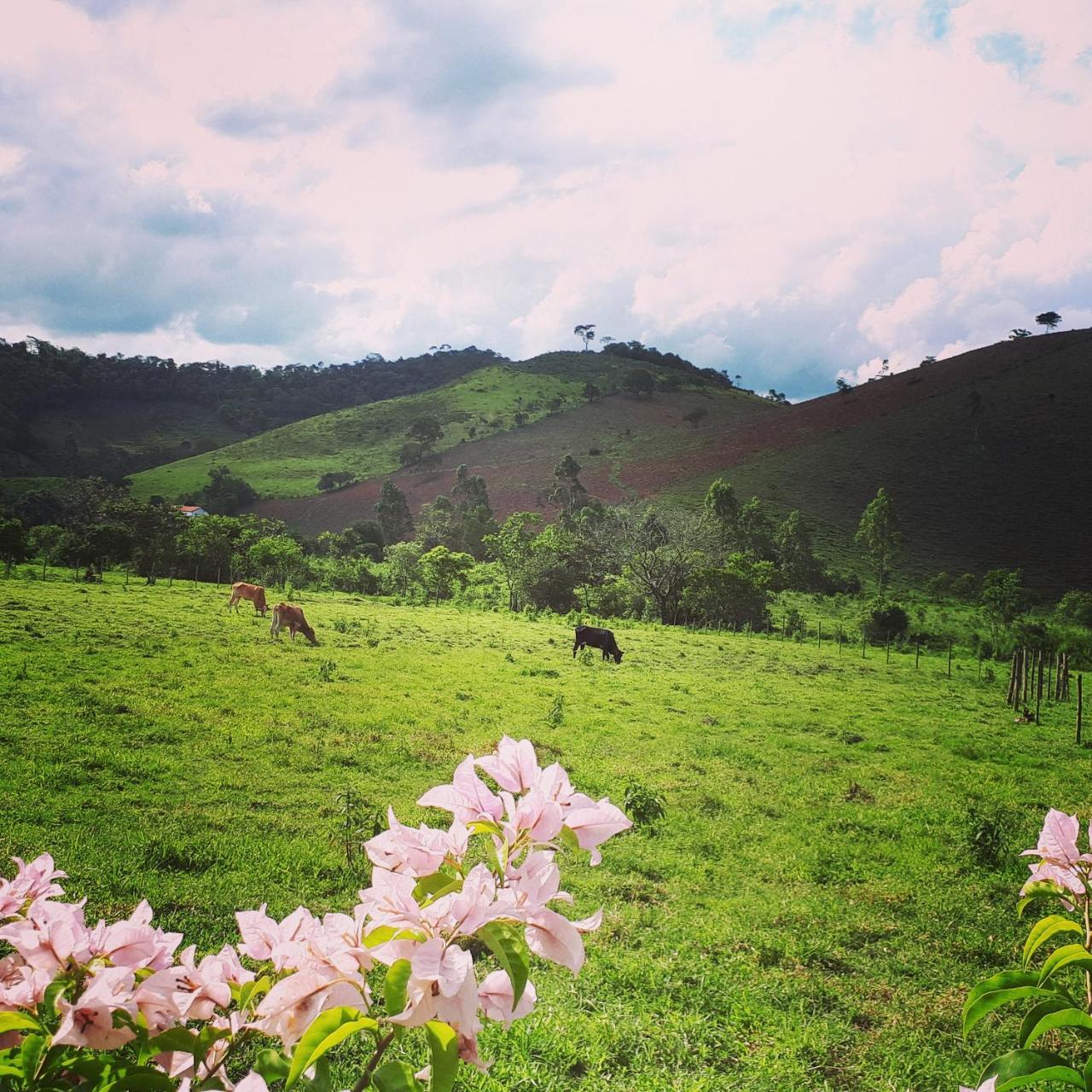 Pousada Chales Dos Montes Santana dos Montes Eksteriør billede
